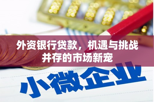 北斗外资银行贷款，机遇与挑战并存的市场新宠