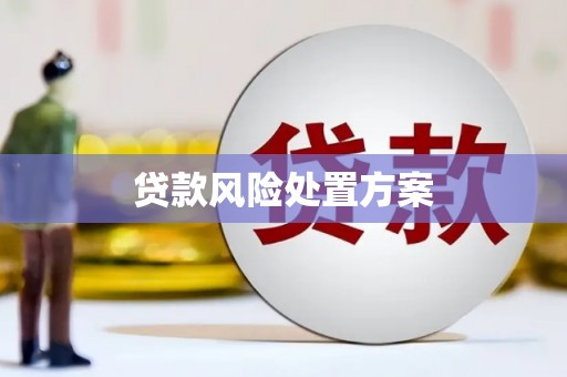 北斗贷款风险处置方案
