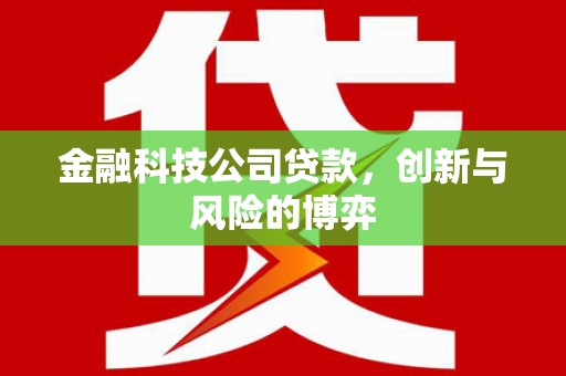 北斗金融科技公司贷款，创新与风险的博弈