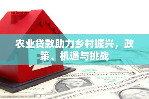 北斗农业贷款助力乡村振兴，政策、机遇与挑战