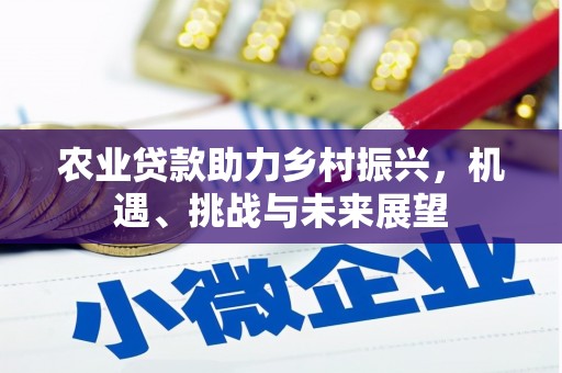 北斗农业贷款助力乡村振兴，机遇、挑战与未来展望