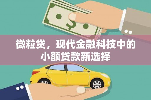 北斗微粒贷，现代金融科技中的小额贷款新选择