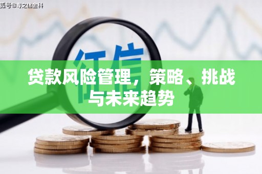 北斗贷款风险管理，策略、挑战与未来趋势