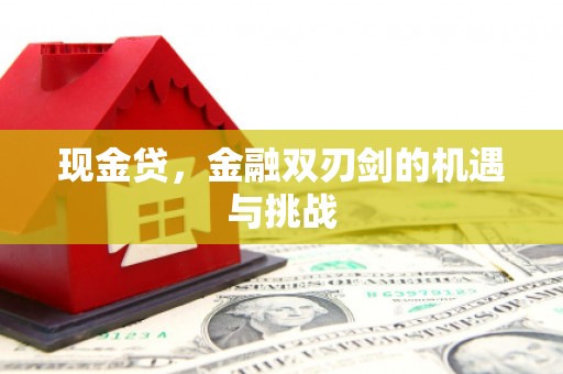北斗现金贷，金融双刃剑的机遇与挑战