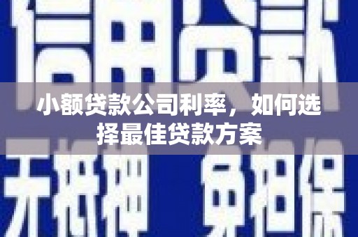 北斗小额贷款公司利率，如何选择最佳贷款方案