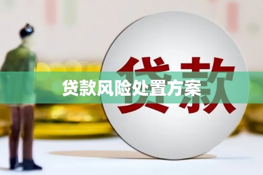 北斗贷款风险处置方案