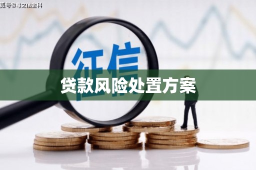 北斗贷款风险处置方案