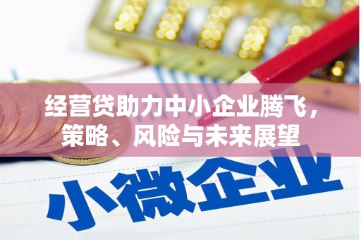 北斗经营贷助力中小企业腾飞，策略、风险与未来展望