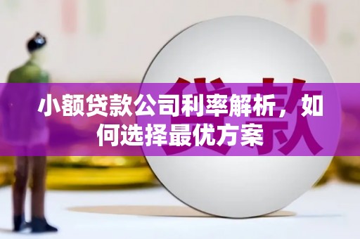 北斗小额贷款公司利率解析，如何选择最优方案