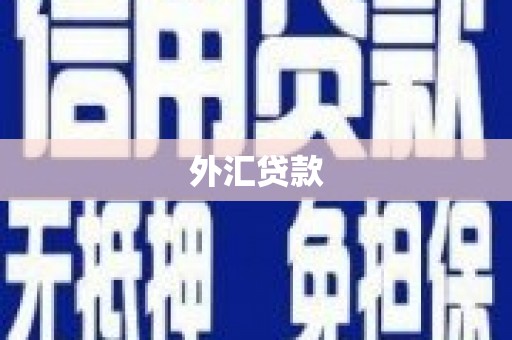 北斗外汇贷款