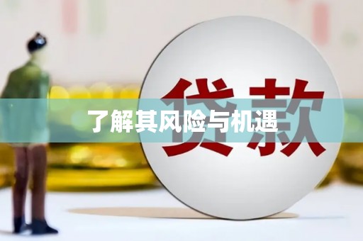 北斗了解其风险与机遇
