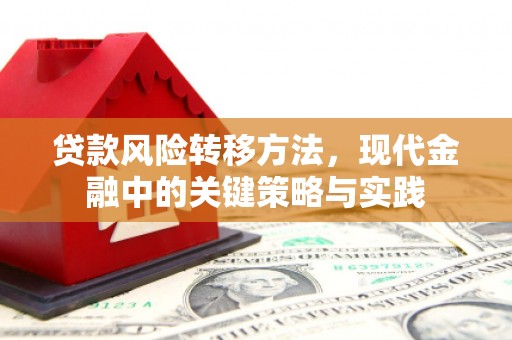 北斗贷款风险转移方法，现代金融中的关键策略与实践