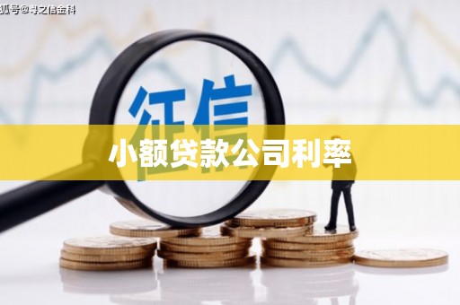 北斗小额贷款公司利率