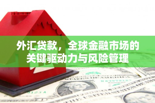 北斗外汇贷款，全球金融市场的关键驱动力与风险管理