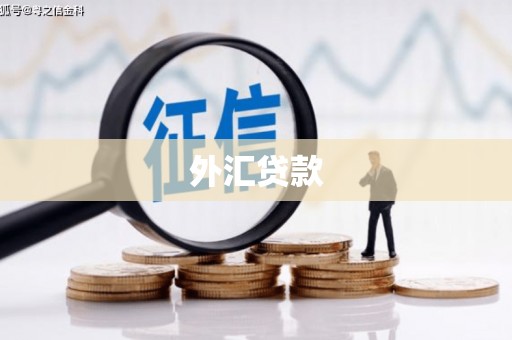 北斗外汇贷款
