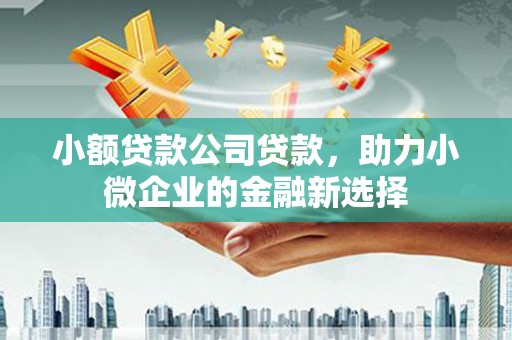 北斗小额贷款公司贷款，助力小微企业的金融新选择