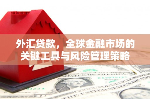 北斗外汇贷款，全球金融市场的关键工具与风险管理策略