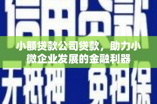 北斗小额贷款公司贷款，助力小微企业发展的金融利器