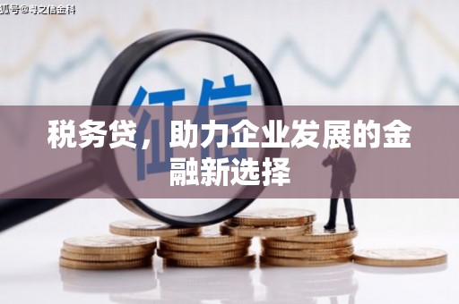 北斗税务贷，助力企业发展的金融新选择