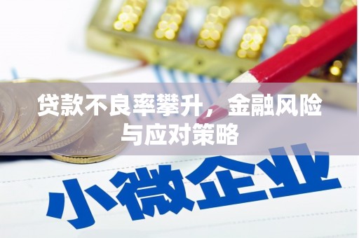 北斗贷款不良率攀升，金融风险与应对策略