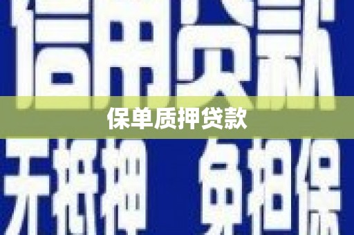 北斗保单质押贷款
