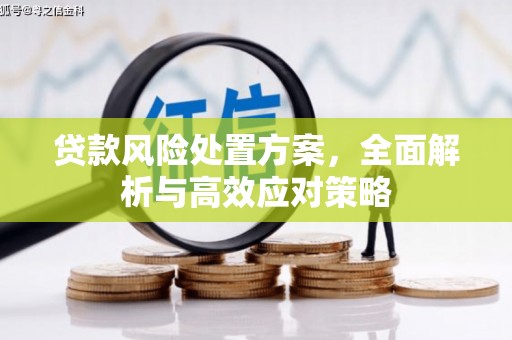 北斗贷款风险处置方案，全面解析与高效应对策略