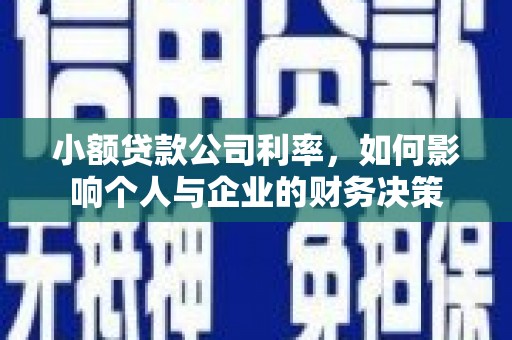 北斗小额贷款公司利率，如何影响个人与企业的财务决策