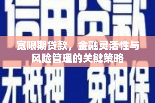 北斗宽限期贷款，金融灵活性与风险管理的关键策略