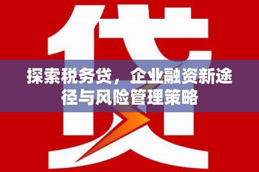 北斗探索税务贷，企业融资新途径与风险管理策略