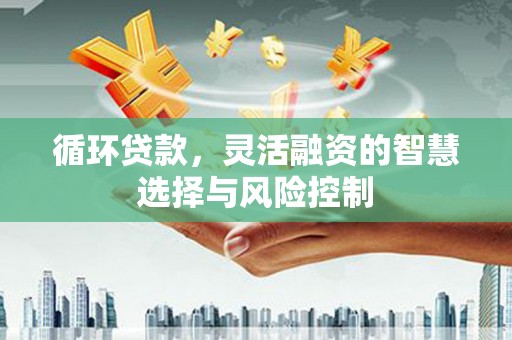北斗循环贷款，灵活融资的智慧选择与风险控制