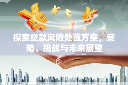 北斗探索贷款风险处置方案，策略、挑战与未来展望