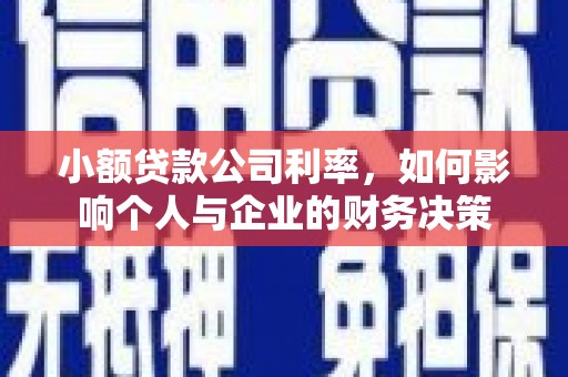 北斗小额贷款公司利率，如何影响个人与企业的财务决策