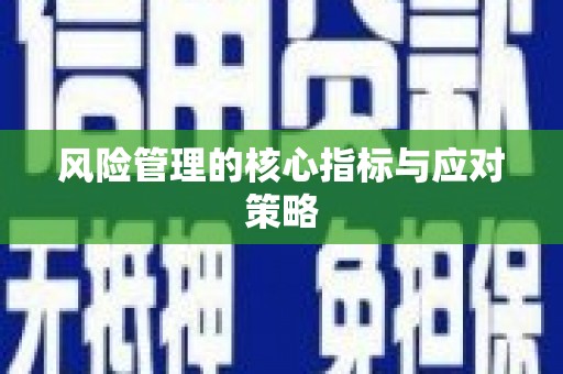 北斗风险管理的核心指标与应对策略