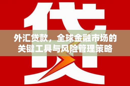 北斗外汇贷款，全球金融市场的关键工具与风险管理策略