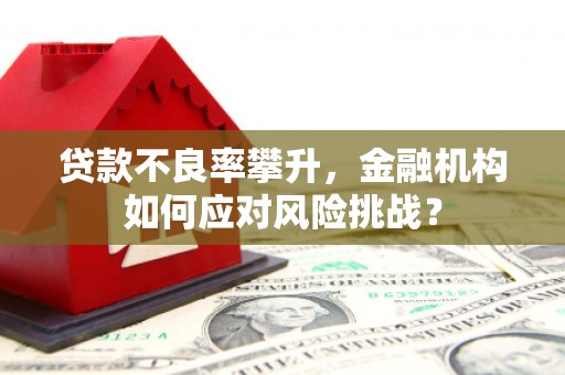 北斗贷款不良率攀升，金融机构如何应对风险挑战？