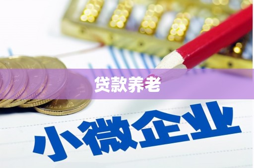 北斗贷款养老