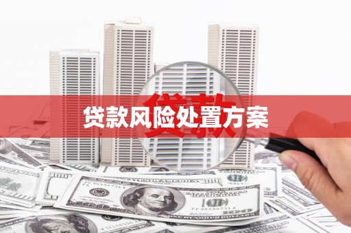 北斗贷款风险处置方案