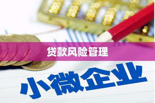 北斗贷款风险管理