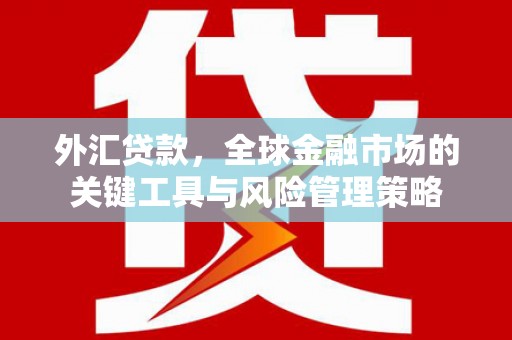 北斗外汇贷款，全球金融市场的关键工具与风险管理策略