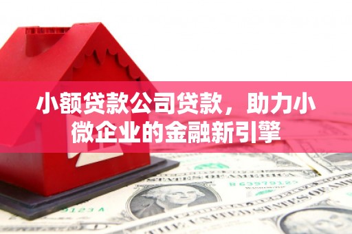 北斗小额贷款公司贷款，助力小微企业的金融新引擎