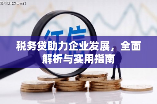 北斗税务贷助力企业发展，全面解析与实用指南