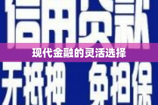 北斗现代金融的灵活选择