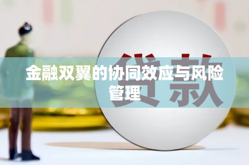 北斗金融双翼的协同效应与风险管理