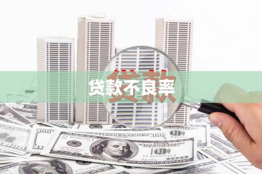 北斗贷款不良率